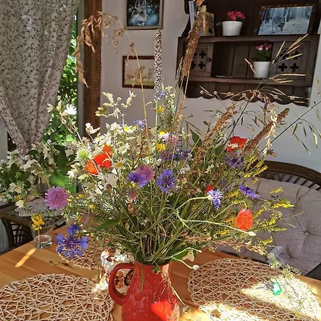 公寓 Mazurskie Klimaty - Niezalezny, Ogrodzony Z Weranda 维德米内