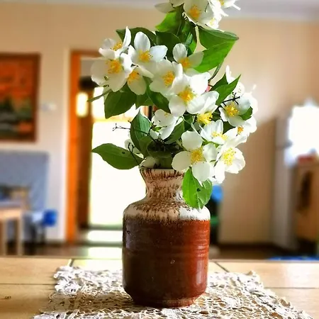 Mazurskie Klimaty - Niezalezny, Ogrodzony Dom Holiday home *