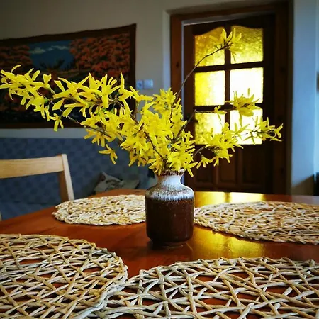 Mazurskie Klimaty - Niezalezny, Ogrodzony Z Weranda 公寓 维德米内