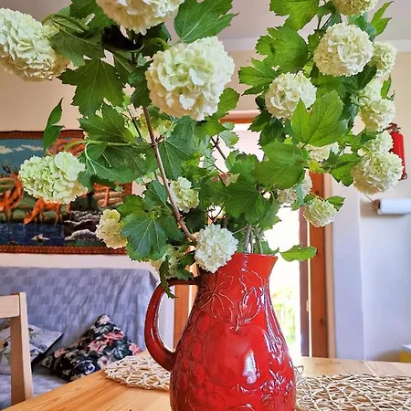 Mazurskie Klimaty - Niezależny, Ogrodzony Z Werandą *