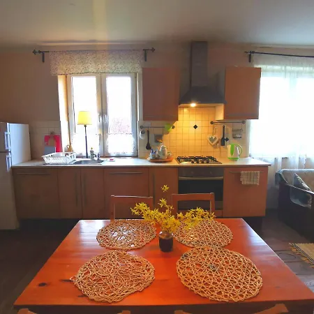 公寓 Mazurskie Klimaty - Niezalezny, Ogrodzony Z Weranda 维德米内