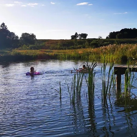 Mazurskie Klimaty - Niezalezny, Ogrodzony Z Weranda 公寓 维德米内